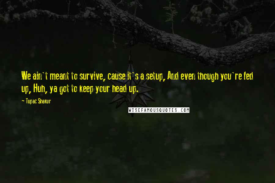 Tupac Shakur Quotes: We ain't meant to survive, cause it's a setup, And even though you're fed up, Huh, ya got to keep your head up.