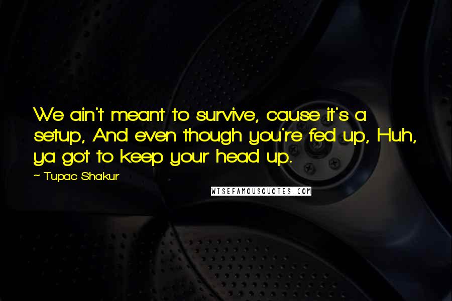 Tupac Shakur Quotes: We ain't meant to survive, cause it's a setup, And even though you're fed up, Huh, ya got to keep your head up.