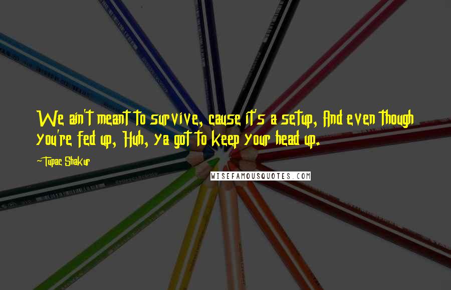Tupac Shakur Quotes: We ain't meant to survive, cause it's a setup, And even though you're fed up, Huh, ya got to keep your head up.