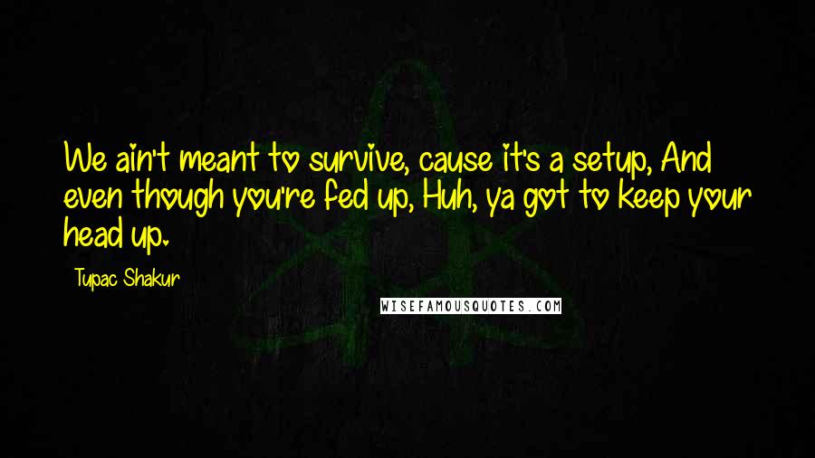 Tupac Shakur Quotes: We ain't meant to survive, cause it's a setup, And even though you're fed up, Huh, ya got to keep your head up.
