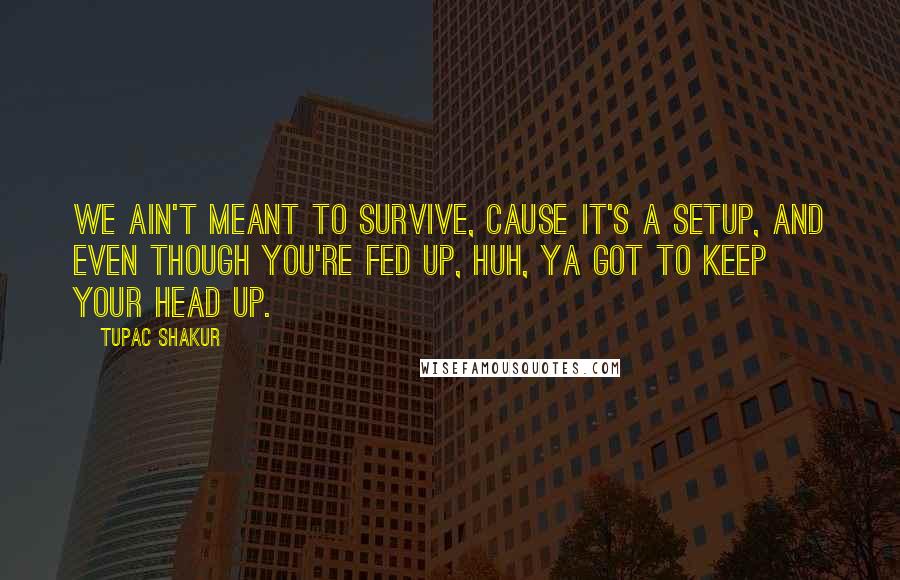 Tupac Shakur Quotes: We ain't meant to survive, cause it's a setup, And even though you're fed up, Huh, ya got to keep your head up.