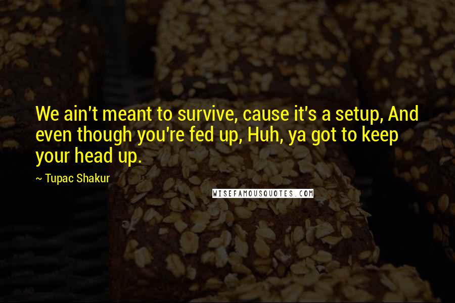 Tupac Shakur Quotes: We ain't meant to survive, cause it's a setup, And even though you're fed up, Huh, ya got to keep your head up.