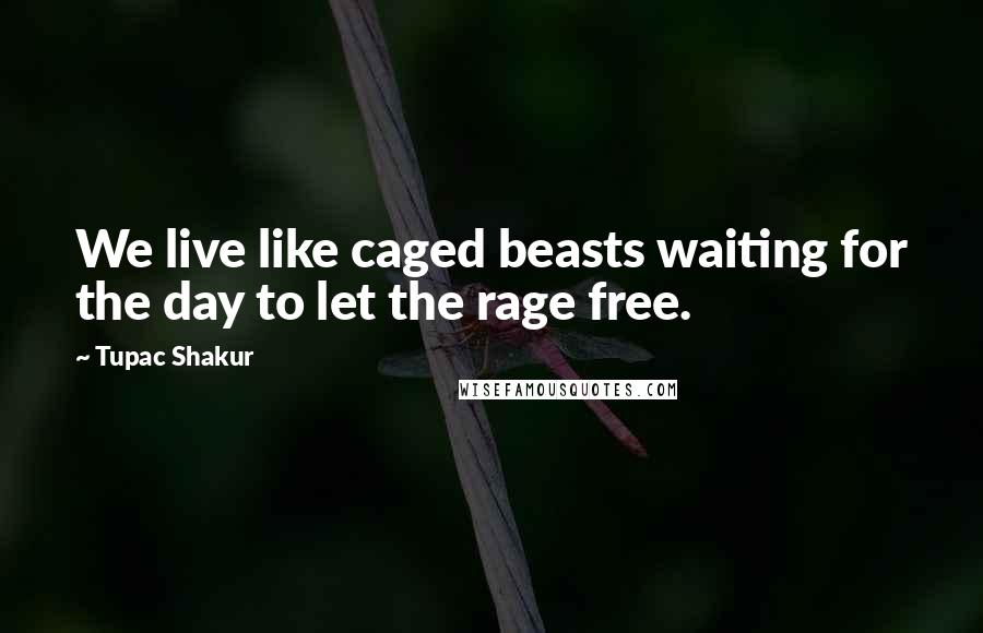 Tupac Shakur Quotes: We live like caged beasts waiting for the day to let the rage free.