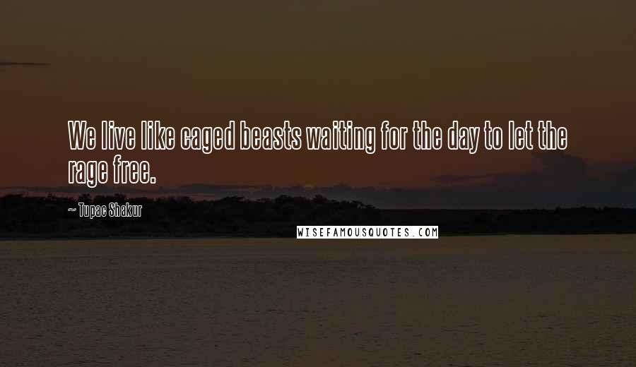 Tupac Shakur Quotes: We live like caged beasts waiting for the day to let the rage free.