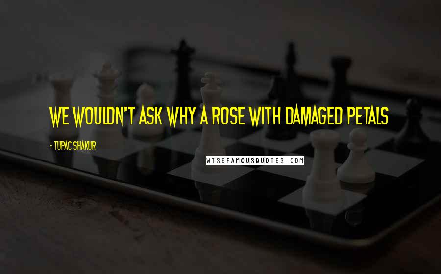 Tupac Shakur Quotes: we wouldn't ask why a rose with damaged petals