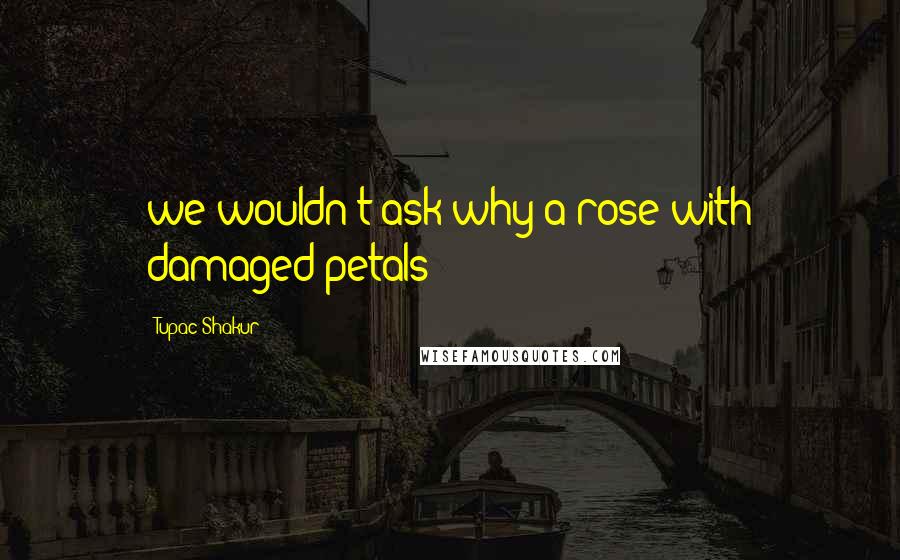 Tupac Shakur Quotes: we wouldn't ask why a rose with damaged petals