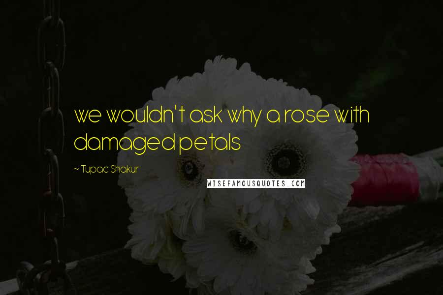 Tupac Shakur Quotes: we wouldn't ask why a rose with damaged petals