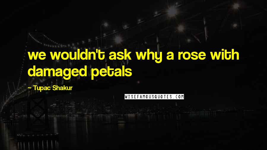 Tupac Shakur Quotes: we wouldn't ask why a rose with damaged petals