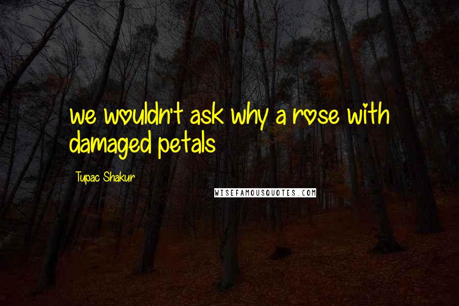 Tupac Shakur Quotes: we wouldn't ask why a rose with damaged petals
