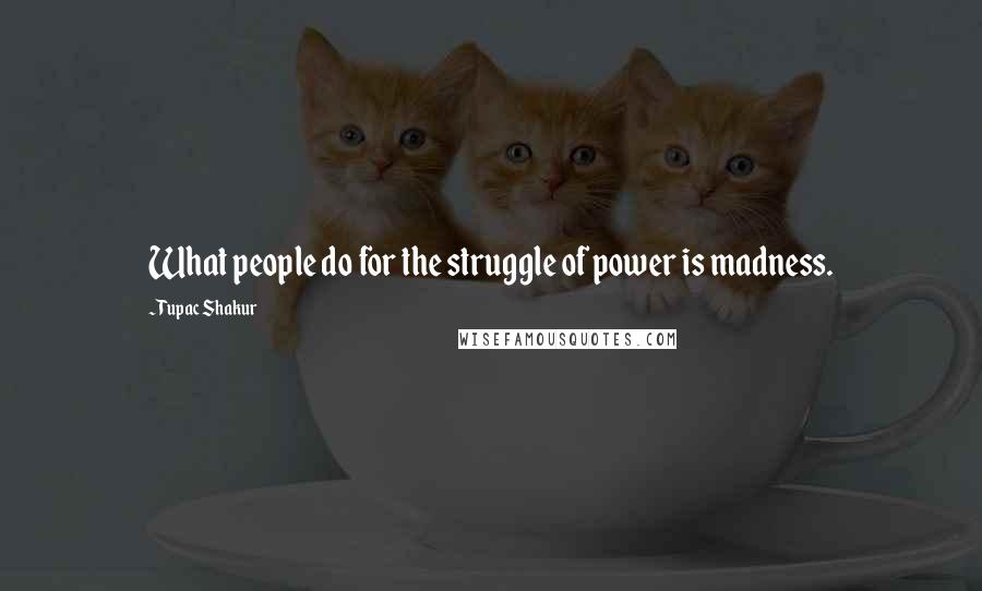 Tupac Shakur Quotes: What people do for the struggle of power is madness.