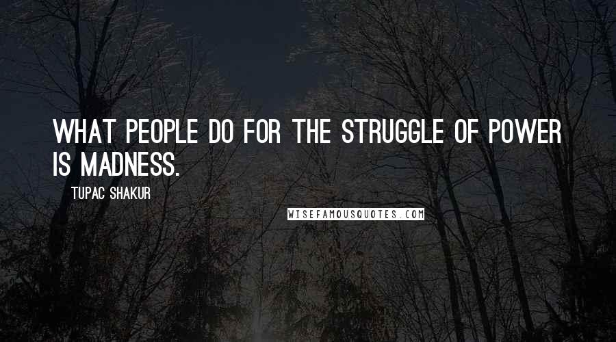 Tupac Shakur Quotes: What people do for the struggle of power is madness.