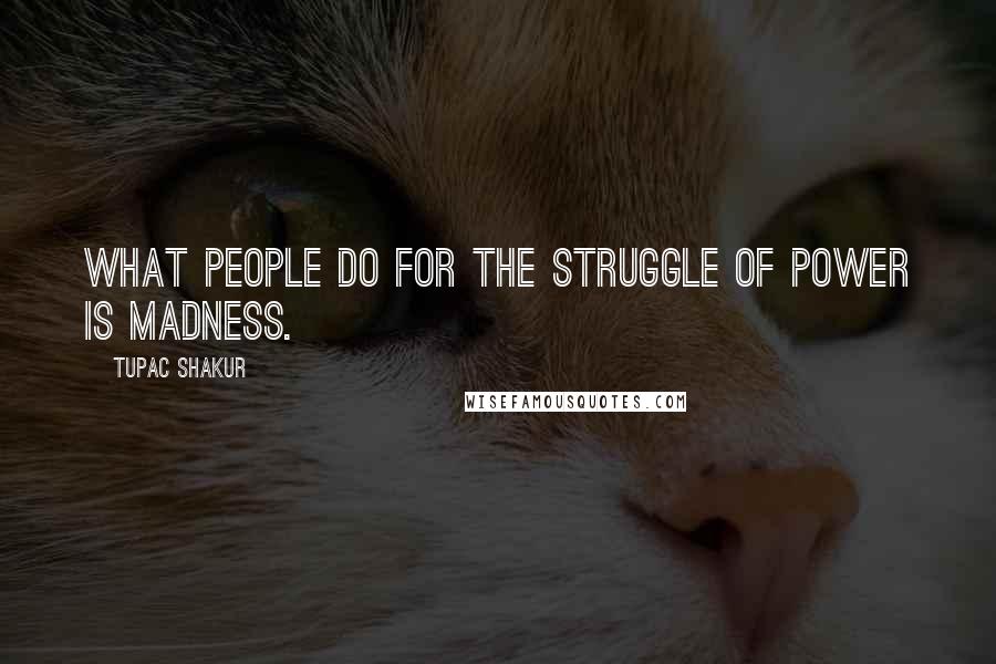 Tupac Shakur Quotes: What people do for the struggle of power is madness.