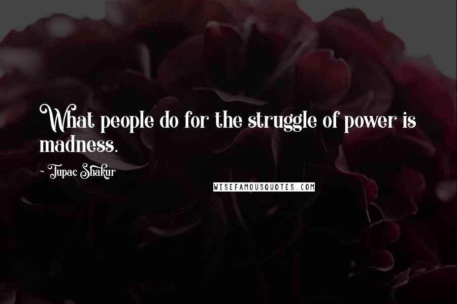 Tupac Shakur Quotes: What people do for the struggle of power is madness.