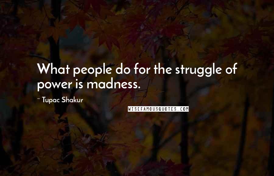 Tupac Shakur Quotes: What people do for the struggle of power is madness.