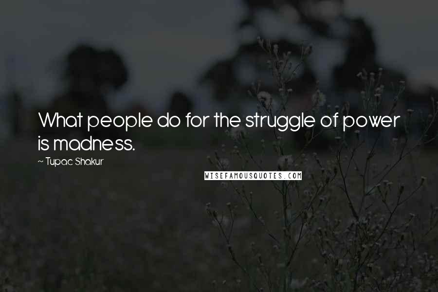 Tupac Shakur Quotes: What people do for the struggle of power is madness.