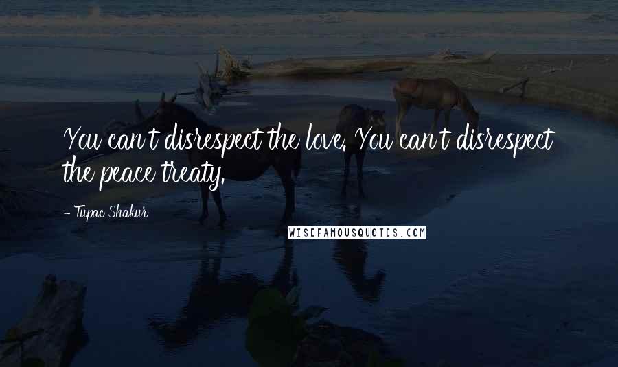 Tupac Shakur Quotes: You can't disrespect the love. You can't disrespect the peace treaty.