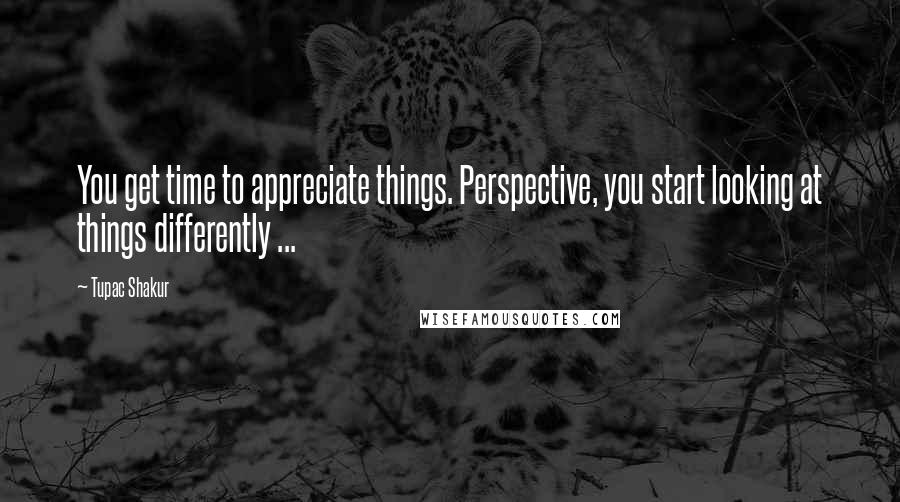 Tupac Shakur Quotes: You get time to appreciate things. Perspective, you start looking at things differently ...