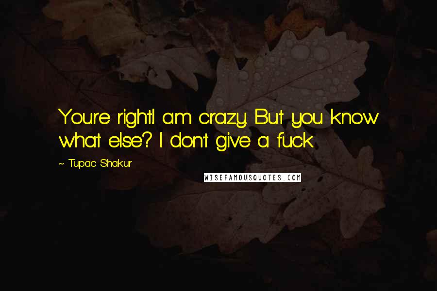 Tupac Shakur Quotes: You're right.I am crazy. But you know what else? I don't give a fuck.