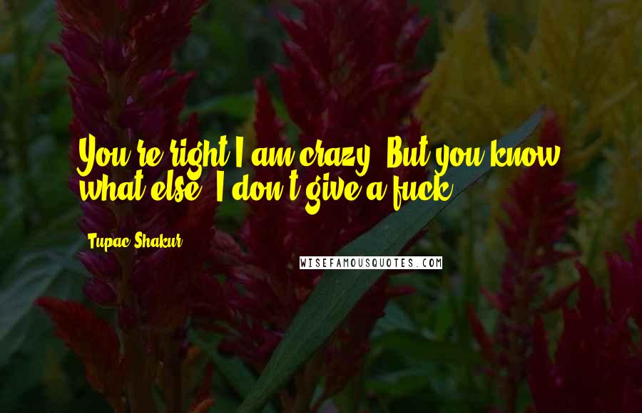 Tupac Shakur Quotes: You're right.I am crazy. But you know what else? I don't give a fuck.