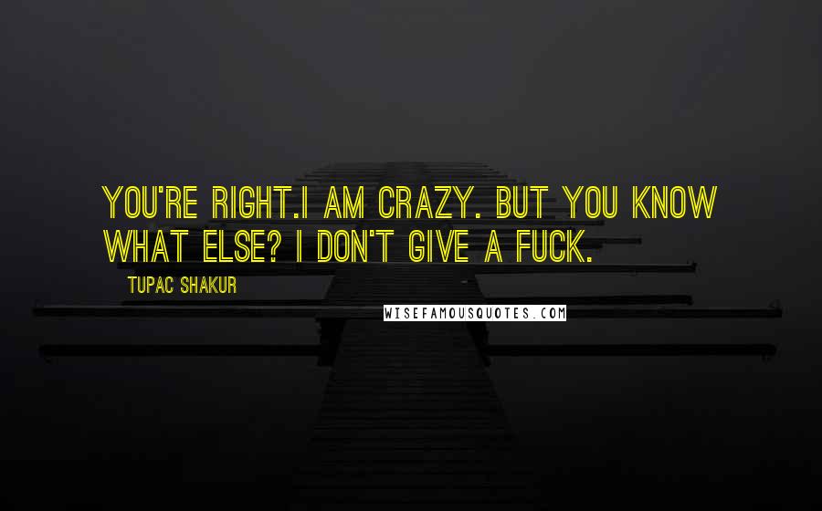 Tupac Shakur Quotes: You're right.I am crazy. But you know what else? I don't give a fuck.