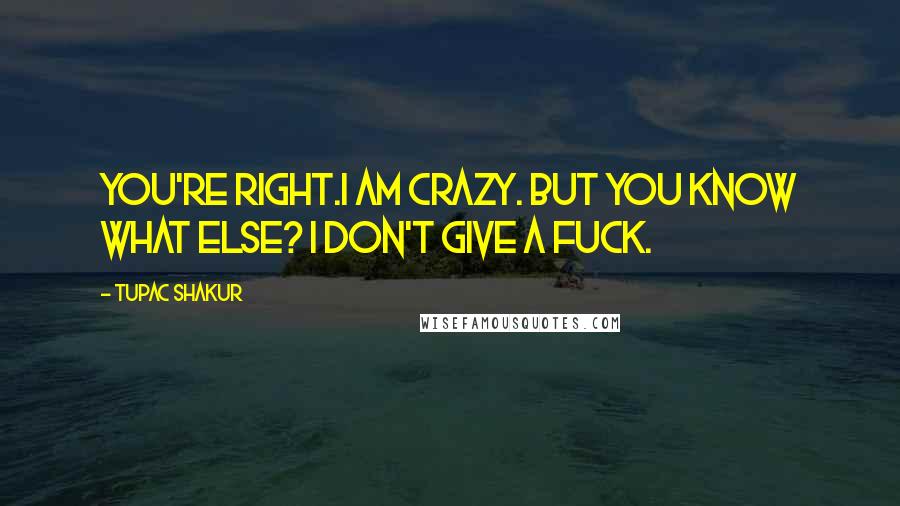 Tupac Shakur Quotes: You're right.I am crazy. But you know what else? I don't give a fuck.