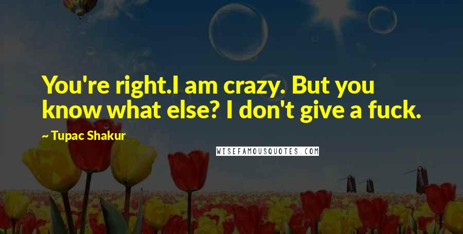 Tupac Shakur Quotes: You're right.I am crazy. But you know what else? I don't give a fuck.