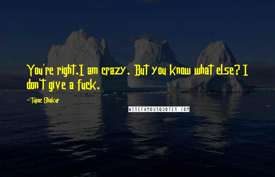 Tupac Shakur Quotes: You're right.I am crazy. But you know what else? I don't give a fuck.