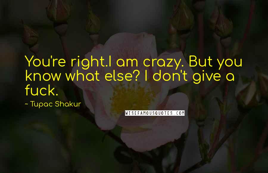 Tupac Shakur Quotes: You're right.I am crazy. But you know what else? I don't give a fuck.