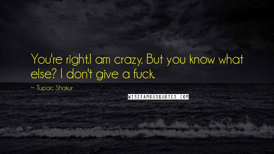 Tupac Shakur Quotes: You're right.I am crazy. But you know what else? I don't give a fuck.