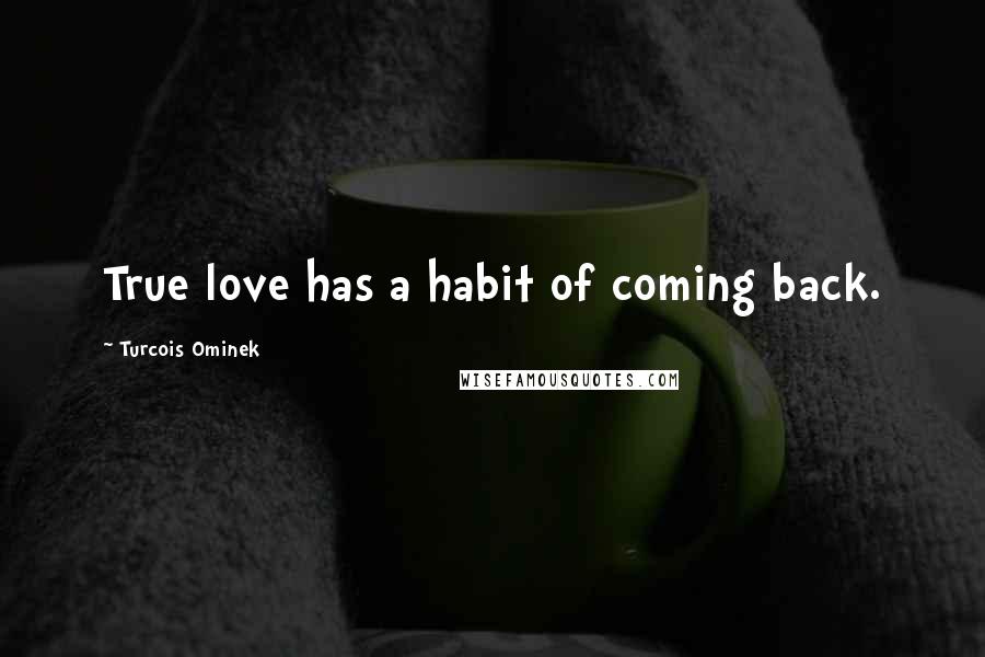 Turcois Ominek Quotes: True love has a habit of coming back.