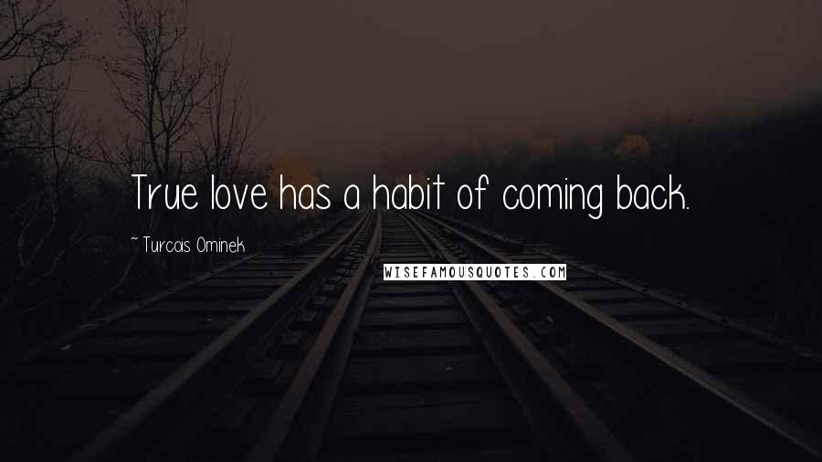 Turcois Ominek Quotes: True love has a habit of coming back.