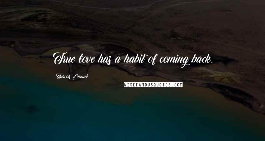 Turcois Ominek Quotes: True love has a habit of coming back.