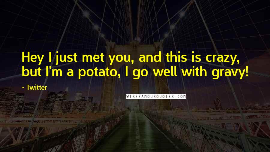 Twitter Quotes: Hey I just met you, and this is crazy, but I'm a potato, I go well with gravy!