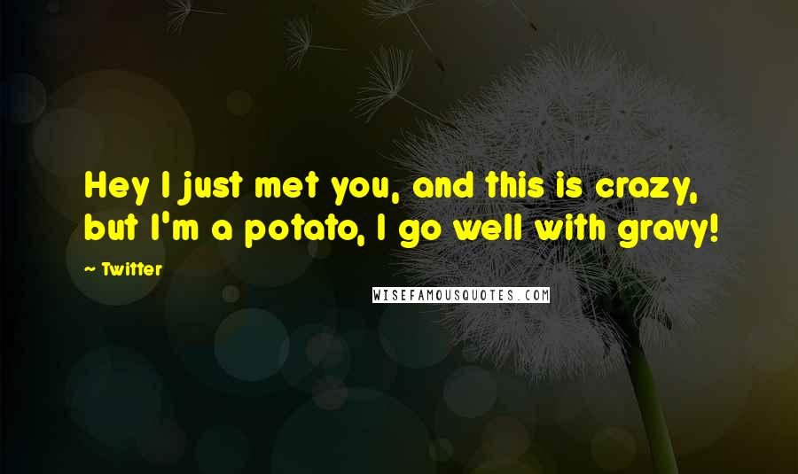 Twitter Quotes: Hey I just met you, and this is crazy, but I'm a potato, I go well with gravy!