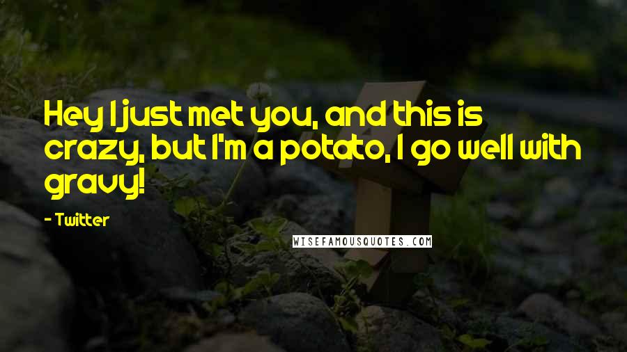Twitter Quotes: Hey I just met you, and this is crazy, but I'm a potato, I go well with gravy!