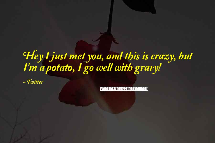 Twitter Quotes: Hey I just met you, and this is crazy, but I'm a potato, I go well with gravy!