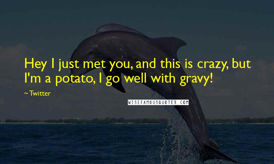 Twitter Quotes: Hey I just met you, and this is crazy, but I'm a potato, I go well with gravy!