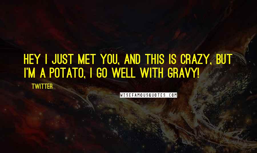 Twitter Quotes: Hey I just met you, and this is crazy, but I'm a potato, I go well with gravy!