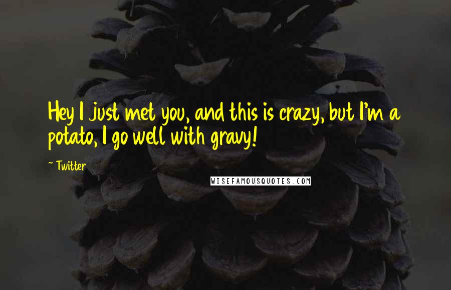 Twitter Quotes: Hey I just met you, and this is crazy, but I'm a potato, I go well with gravy!