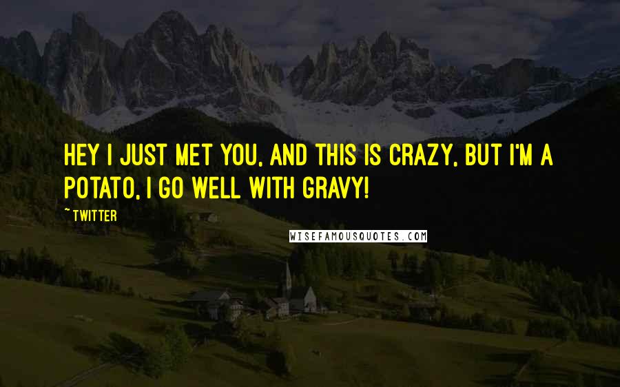 Twitter Quotes: Hey I just met you, and this is crazy, but I'm a potato, I go well with gravy!