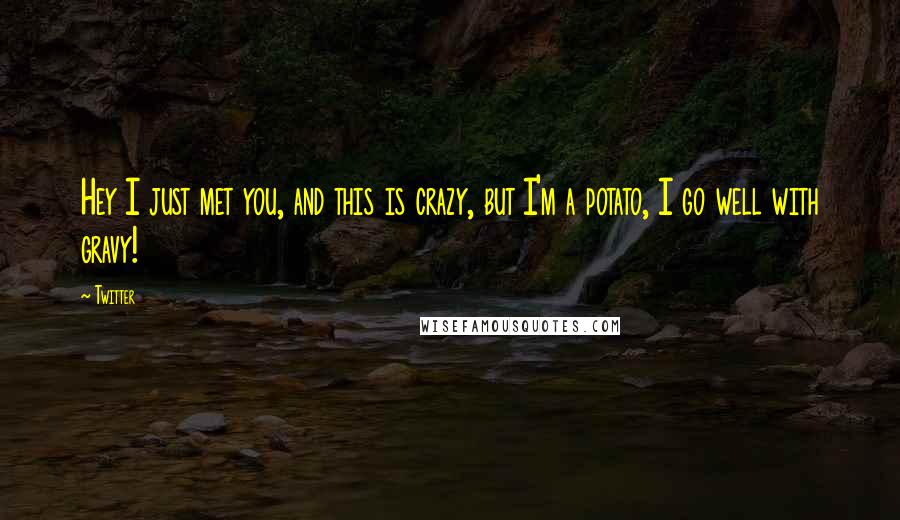 Twitter Quotes: Hey I just met you, and this is crazy, but I'm a potato, I go well with gravy!