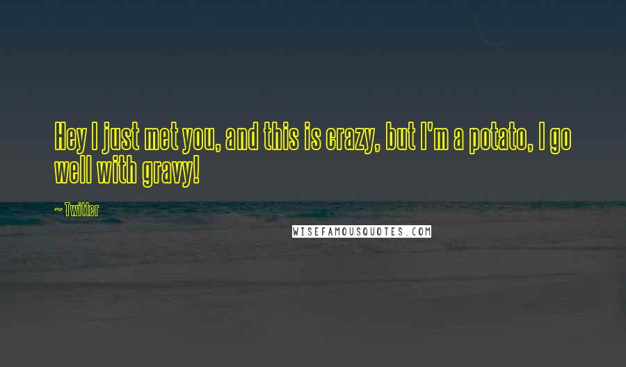 Twitter Quotes: Hey I just met you, and this is crazy, but I'm a potato, I go well with gravy!