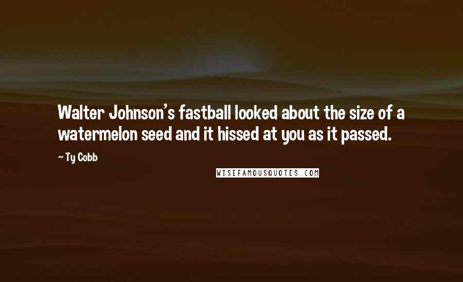 Ty Cobb Quotes: Walter Johnson's fastball looked about the size of a watermelon seed and it hissed at you as it passed.