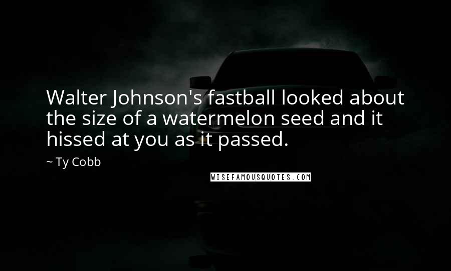 Ty Cobb Quotes: Walter Johnson's fastball looked about the size of a watermelon seed and it hissed at you as it passed.