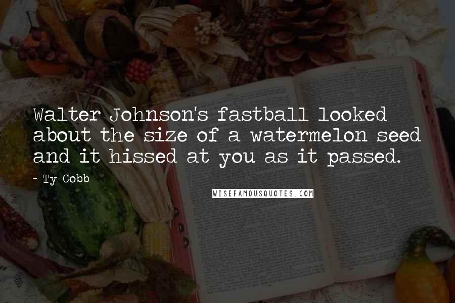 Ty Cobb Quotes: Walter Johnson's fastball looked about the size of a watermelon seed and it hissed at you as it passed.
