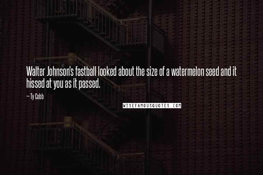 Ty Cobb Quotes: Walter Johnson's fastball looked about the size of a watermelon seed and it hissed at you as it passed.