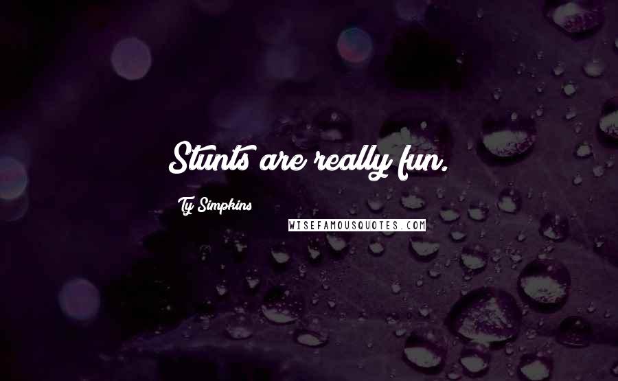 Ty Simpkins Quotes: Stunts are really fun.