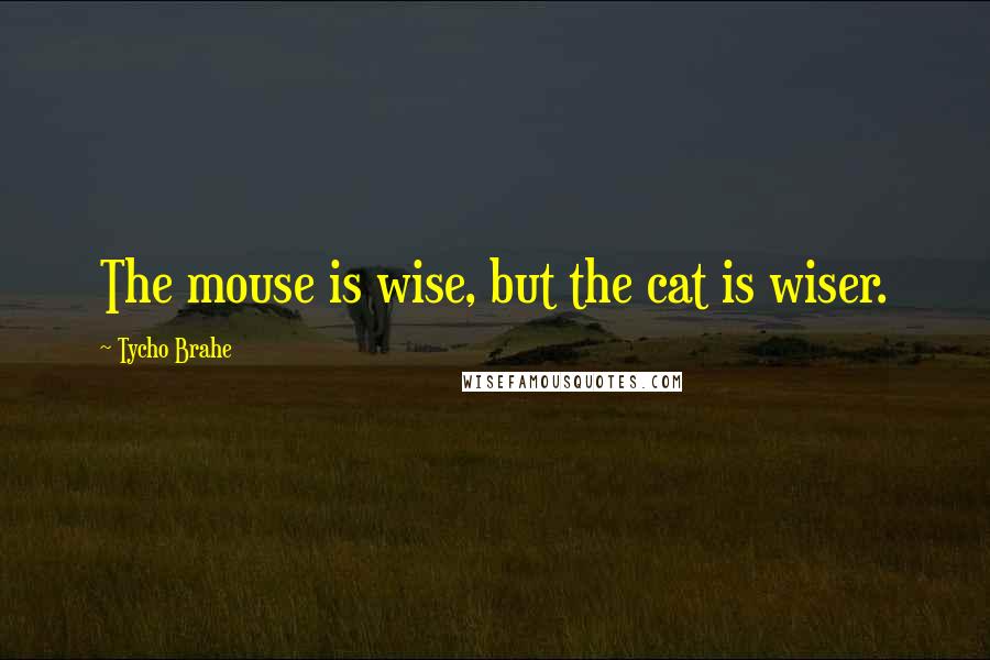 Tycho Brahe Quotes: The mouse is wise, but the cat is wiser.