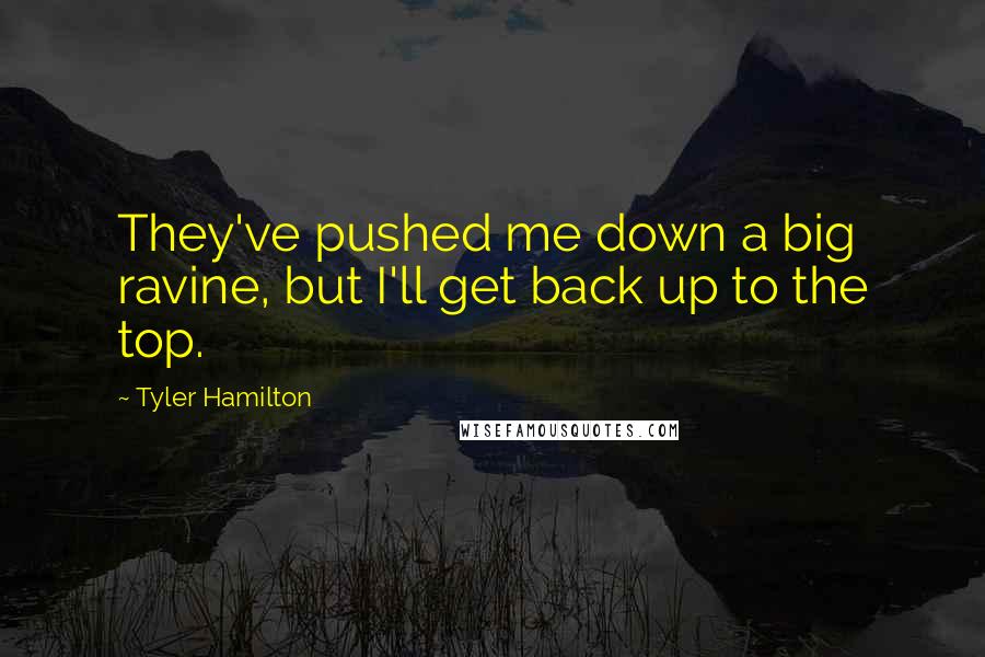 Tyler Hamilton Quotes: They've pushed me down a big ravine, but I'll get back up to the top.