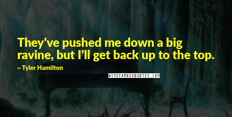 Tyler Hamilton Quotes: They've pushed me down a big ravine, but I'll get back up to the top.